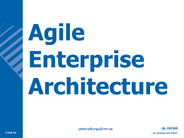 Agile Enterprise Architecture
