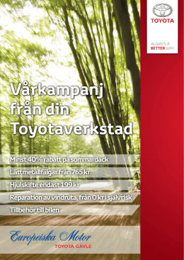 Vårkampanj från din Toyotaverkstad