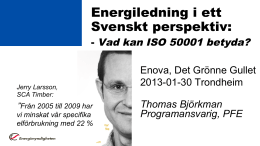 Energiledning i ett Svenskt perspektiv: