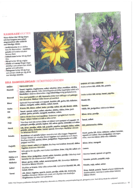 Lektion 2, Bra samodlingar i K&ouml;kstr&auml;dg&aring;rden.pdf