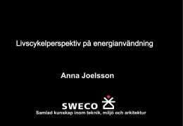 Anna Joelsson.pdf