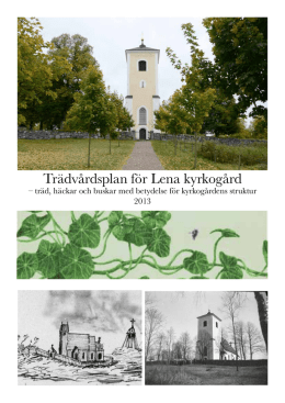 Trädvårdsplan för Lena kyrkogård