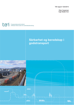 Hele rapporten - Transportøkonomisk institutt