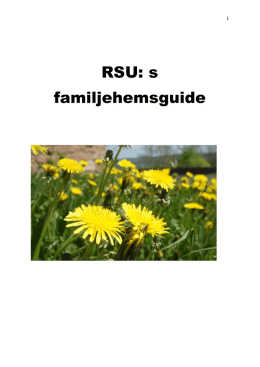 RSU: s familjehemsguide - Ramlösa Social Utveckling AB