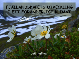Fjällandskapets utveckling i ett föränderligt klimat_Leif Kullman