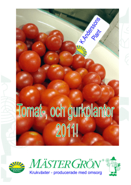 Tomat- Gurk- och Grönsaksplantor - Kennet