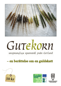 Gutekorn folder 2013 leader - gutekorn ursprungliga spannmål från