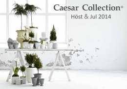 Höst & Jul 2014 - Caesar Collection
