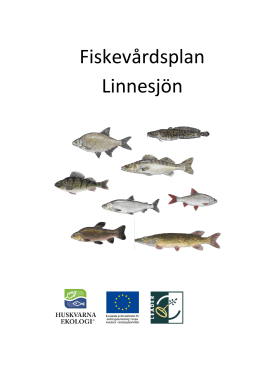 Fiskevårdsplan Linnesjön - Leader Västra Småland LEADER Västra