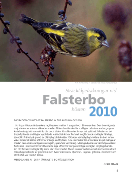 Falsterbo 2010 - Falsterbo Fågelstation