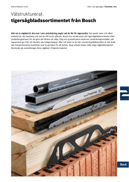 Välstrukturerat: tigersågbladssortimentet från Bosch