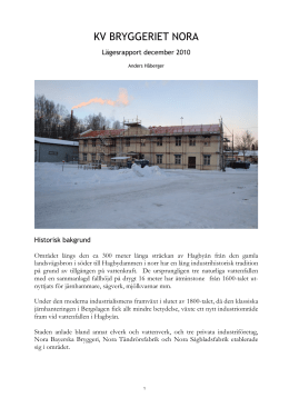 Lägesrapport december2010_kommun.pdf