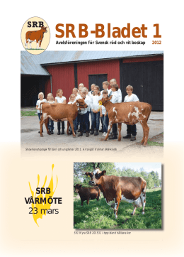 SRB-Bladet 1 - SRB