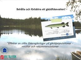 Effekter av olika fiskeregleringar på gäddpopulationer – resultat och