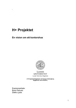 Petrusic ljuba - Byggnadskonstruktion