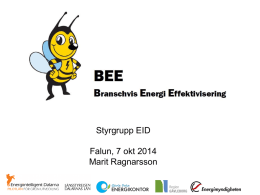 BEE - styrgrupp EID 20141007.pdf