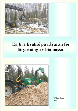 En bra kvalité på råvaran för förgasning av biomassa Inledning