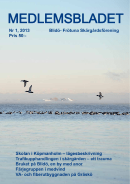 Medlemsblad 2013 nr. 1.pdf - Blidö