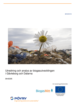 Utredning och analys av biogasutvecklingen i