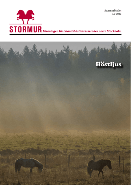 Stormurbladet