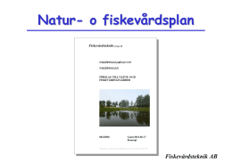 Presentation av fiskevårdsplan, koncept. (pdf)