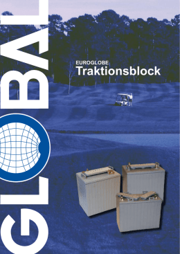 Traktionsblock - Global Batterier AB