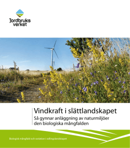Om vindkraft i slättlandskapet.pdf