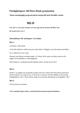Färdighetsprover BILD(8 kB, pdf)