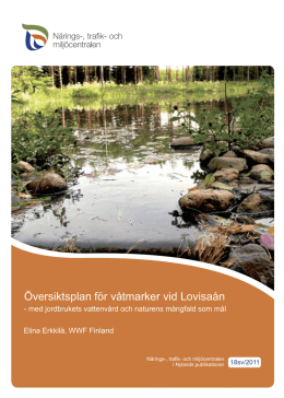 Översiktsplan för våtmarker vid Lovisaån