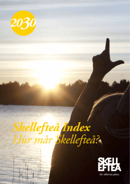 Skellefteå Index Hur mår Skellefteå?