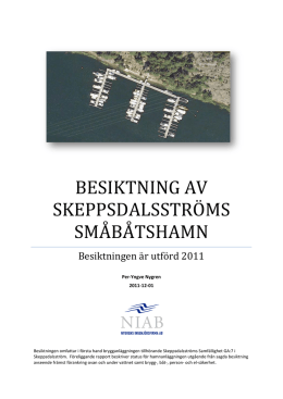 Rapport #1: Besiktning av Skeppsdalsströms småbåtshamn