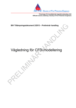 Vägledning CFD - Preliminär handling.pdf