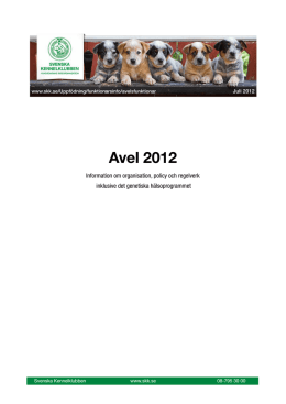 Avel 2012 - Field Spaniel Klubben