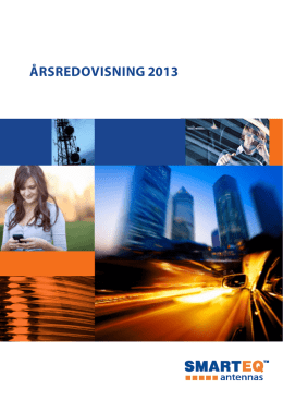 Smarteq annual report 2013.pdf
