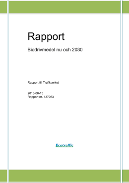 Rapport - Ecotraffic