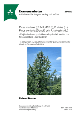 Picea mariana ((P. Mill.) BPS), P. abies (L.) - Publicera i Epsilon