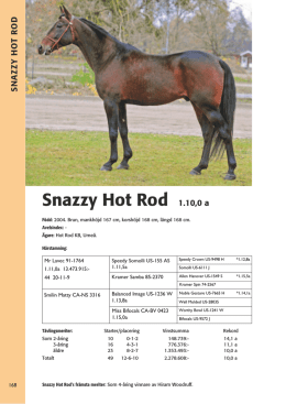 Snazzy Hot Rod 1.10,0 a