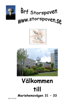 Storspoven Info styrelsen 20130409