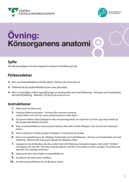 Övning Könsorganens anatomi.pdf
