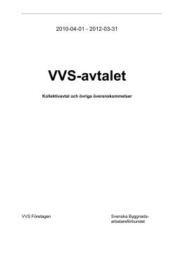 VVSAVT10 100707 - VVS