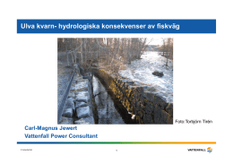 Ulva kvarn- hydrologiska konsekvenser av fiskväg