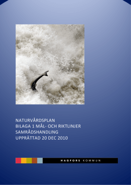 Naturvårdsplan för Hagfors kommun - xn--skrgen