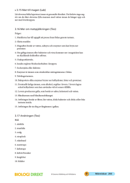 Facit 3.16.pdf
