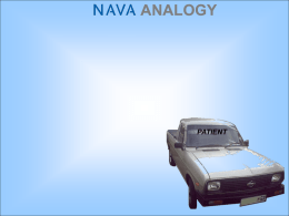 NAVA Analogy