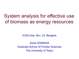 System analysis for effective use of biomass as energy resources