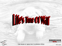 Life`s Tug Of War - JustPamalam.co.uk