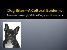 People Bitten by Dogs 4,000,000 + Annually