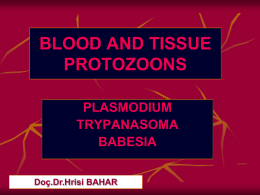 BLOOD AND TISSUE PROTOZOA-2