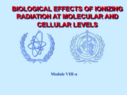 Biological effects of ionizing radiation at molecular and cellular levels