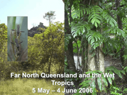 Far North Queensland, Australia, May/June 2006